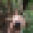  ,   BuBzZik, 36 ,   ,   , c , 
