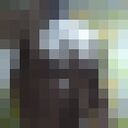  -,   , 44 ,   ,   , c 