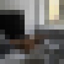 ���������� ������, ���� ������� �����, 36 ���, ������������ ��� ������, ����� � ���������, ���������