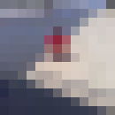  ,   Den, 43 ,   