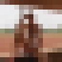 ���������� ���������, ���� ������� ���������, 24 ����, ������������ ��� ������, ����� � ���������, c�������� ���������