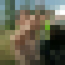 ���������� �����, ���� ������� ����, 41 ���, ������������ ��� ������