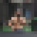 ���������� ��������, ���� ������� ������, 43 ����, ������������ ��� ������, ����� � ���������, ���������