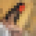 ���������� �����-���������, ���� ������� �����, 34 ����, ������������ ��� ������, ����� � ���������