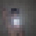 ���������� �����������, ���� ����� ����������, 21 ���, ������������ ��� ������, ����� � ���������