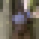 ���������� �����, ���� ������� �������, 22 ����, ������������ ��� ������, ����� � ���������, c�������� ���������