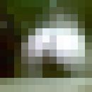 ���������� ������, ���� ������� Arina, 35 ���, ������������ ��� ������, ����� � ���������, c�������� ���������