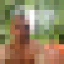  --,   , 41 ,   c , 