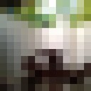  --,   , 25 ,     , c 