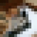 ���������� ����, ���� ������� �����, 34 ����, ������������ ��� ������, ����� � ���������