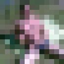  ,   Sanya, 41 ,   ,   , c 