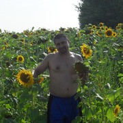  ,   , 51 ,   