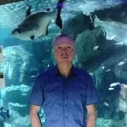 ���������� ������, ���� ������� �������, 42 ����, ������������ ��� ������, ����� � ���������