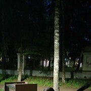 ���������� ������, ���� ����� �������, 22 ����, ������������ ��� ������, ����� � ���������