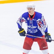 ���������� ������, ���� ������� Yan, 26 ���, ������������ ��� ������, ����� � ���������, c�������� ���������