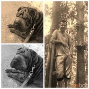 ���������� ������, ���� ������� ����, 36 ���, ������������ ��� ������, ����� � ���������, c�������� ���������