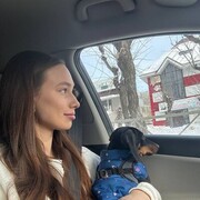 ���������� �����������, �������