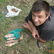 ���������� �����, ���� ������� �������, 45 ���, ������������ ��� ������, ����� � ���������, c�������� ���������