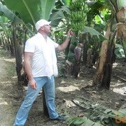 ���������� �����-���������, ���� ������� �����, 45 ���, ������������ ��� ������