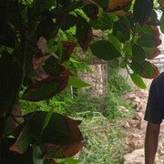  ,   , 49 ,   ,   , c 