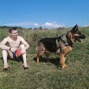 ���������� ����, ���� ������� ���, 33 ����, ������������ ��� ����� � ���������, c�������� ���������