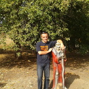 ���������� �������-����������, ������� ������, 36