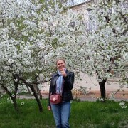   ,   , 66 ,   ,   
