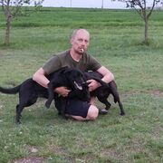 ���������� ������-��-����, ���� ������� �������, 43 ����, ������������ ��� ������, ����� � ���������