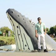 ���������� ������, ���� ������� �����, 38 ���, ������������ ��� ������, ����� � ���������