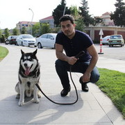  ,   Elnur, 35 ,   ,   , c 