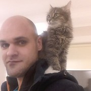 ���������� ����, ���� ������� ��������, 40 ���, ������������ ��� ������, ����� � ���������, c�������� ���������