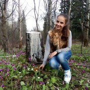  ,   , 27 ,  