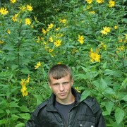 ���������� �����, ���� ������� ������, 31 ���, ������������ ��� ������, ����� � ���������