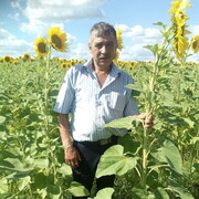 ���������� ��������, ���� ������� ����, 63 ����, ������������ ��� ������, ����� � ���������, c�������� ���������