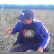 ���������� ������, ���� ������� ������, 36 ���, ������������ ��� ������, ����� � ���������, c�������� ���������