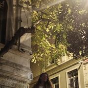 ���������� ����, ���� ������� �����, 44 ����, ������������ ��� c�������� ���������