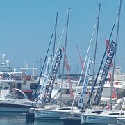 ���������� �����, ���� ������� ���������, 43 ����, ������������ ��� ������, ����� � ���������