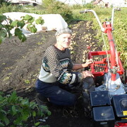 ���������� ����, ���� ������� ��������, 70 ���, ������������ ��� c�������� ���������