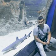 ���������� ����������, ���� ������� �������, 34 ����, ������������ ��� ����� � ���������, c�������� ���������