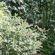 ���������� �������, ���� ������� Andrey, 39 ���, ������������ ��� ������, ����� � ���������, c�������� ���������