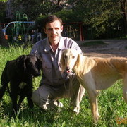 ���������� ������, ���� ������� ��������, 56 ���, ������������ ��� ����� � ���������, c�������� ���������