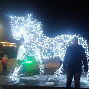 ���������� ����, ���� ������� ����, 43 ����, ������������ ��� ������, ����� � ���������, c�������� ���������