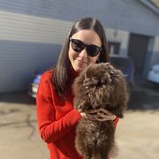 ���������� ������, ���� ������� ����, 44 ����, ������������ ��� ������, ����� � ���������