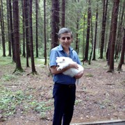  ,   , 62 ,  