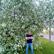  ,    , 54 ,   