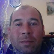  ,  Danyi, 45