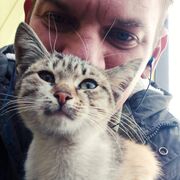 ���������� ������, ���� ������� �������, 40 ���, ������������ ��� ������, ����� � ���������