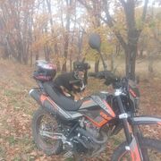 ���������� ���������, ���� ����� �����, 22 ����, ������������ ��� ������, ����� � ���������