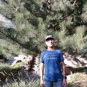 ���������� ������, ���� ������� ������, 39 ���, ������������ ��� c�������� ���������