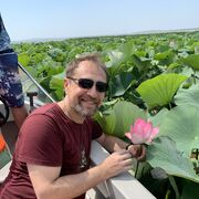 ���������� �����, ���� ������� ������, 50 ���, ������������ ��� ������